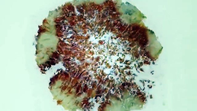 Lurpak Adverts & Commercials 2015 Freestyle