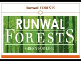 Runwal FORESTS 1 - runwal forests cheater