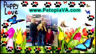 Pet Supplies Staunton VA | Petopia | 866.738.7972