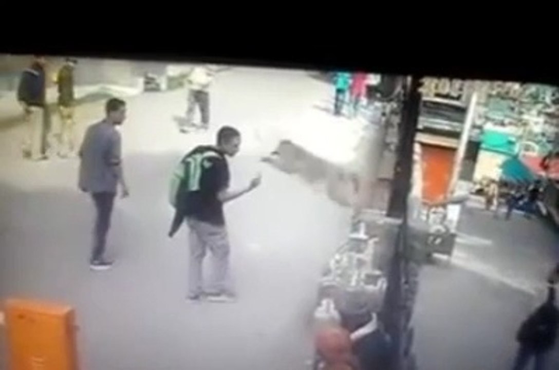 Don't piss off this monkey or he will kick you!