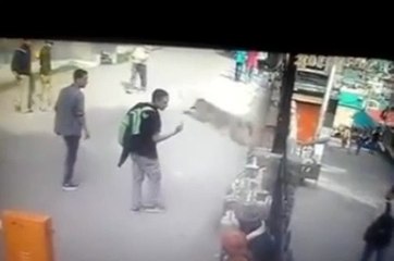 Don't piss off this monkey or he will kick you!