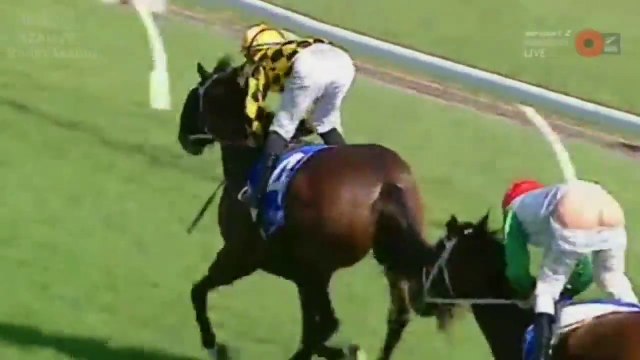 Un Jockey perd son pantalon et montre la 'lune' en pleine course!
