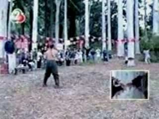 Connerie best off 2006