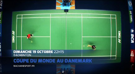 Superseries Badminton : Open du Danemark
