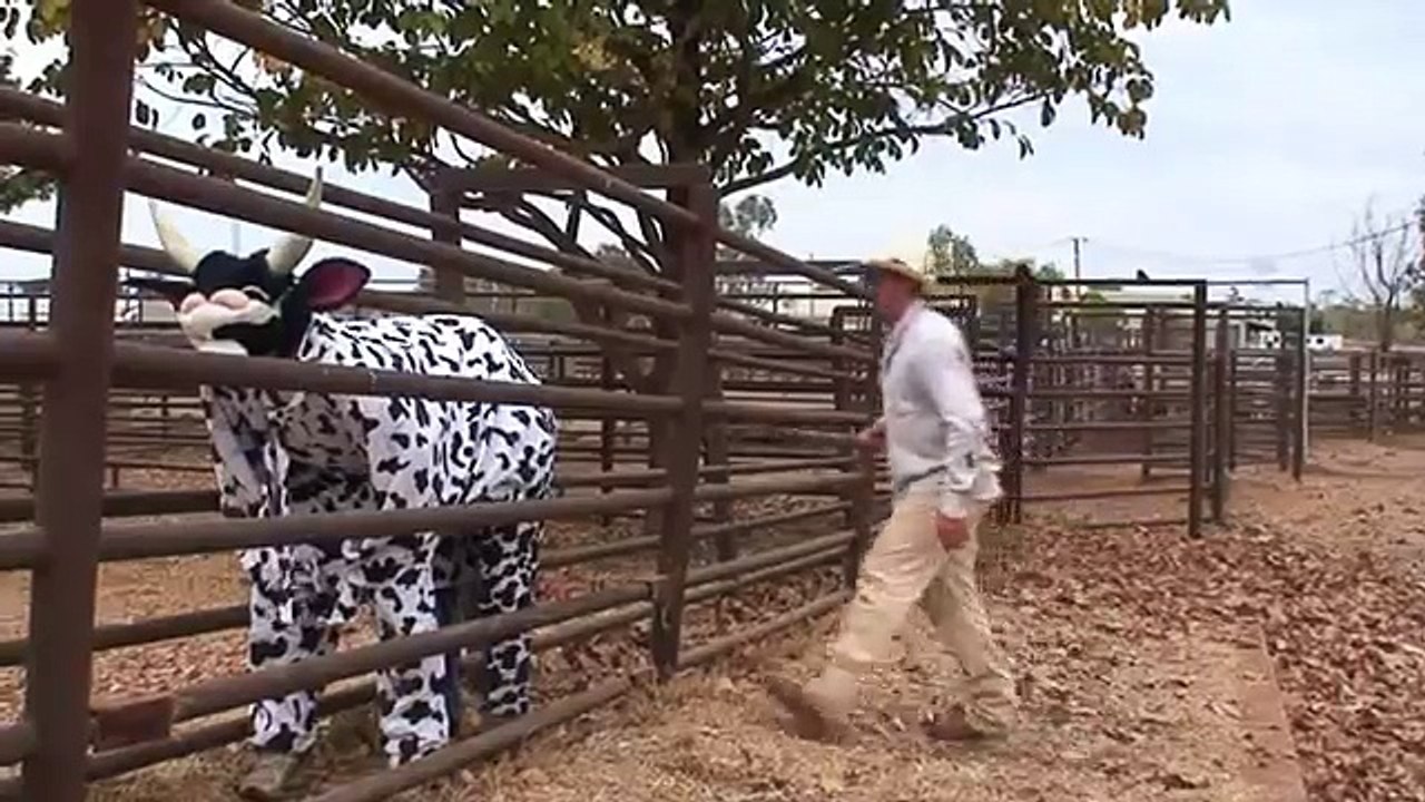 Low Stress Cattle Handling