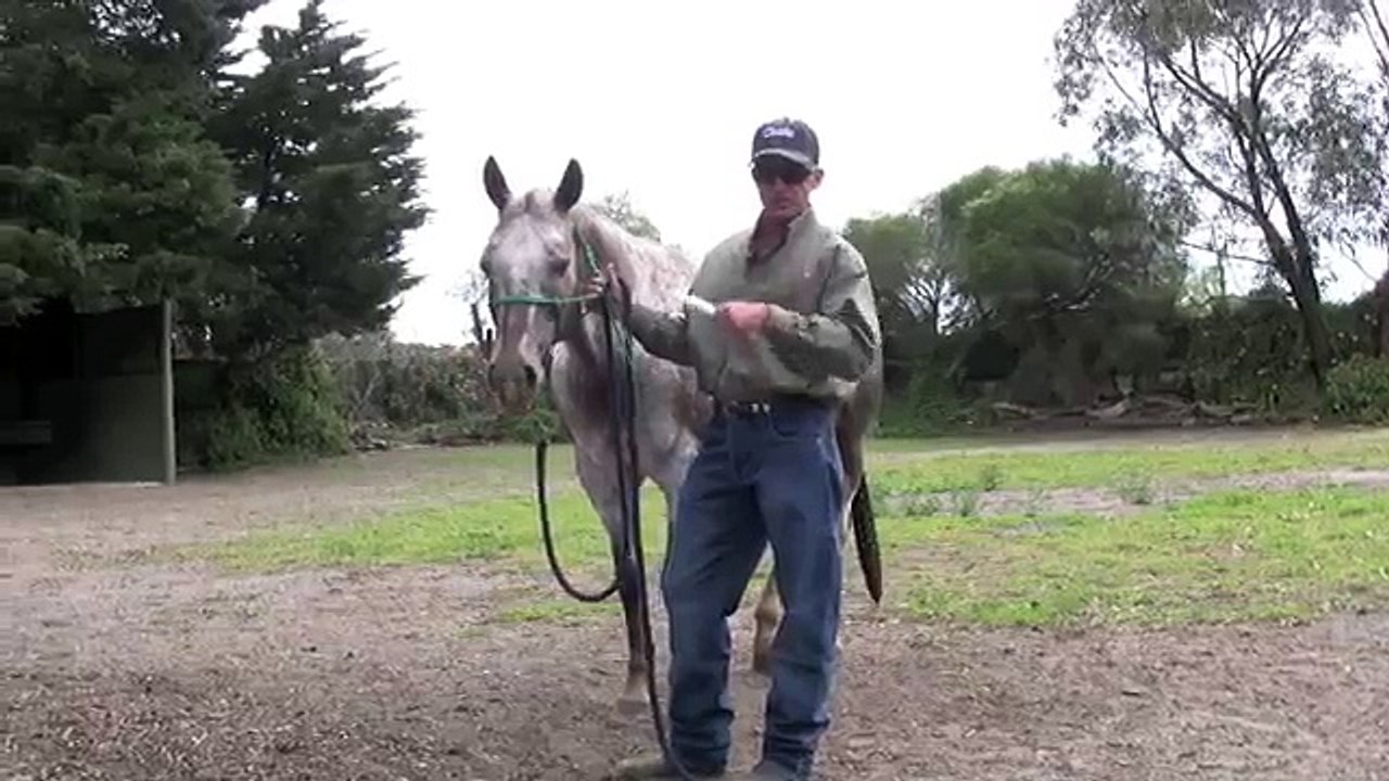 How to worm your horse easily