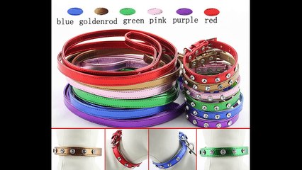 Pet Supplies -MAVENS' planet