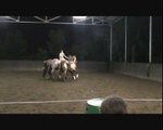 Spectacle equestre : Heidi & ses trois chevaux