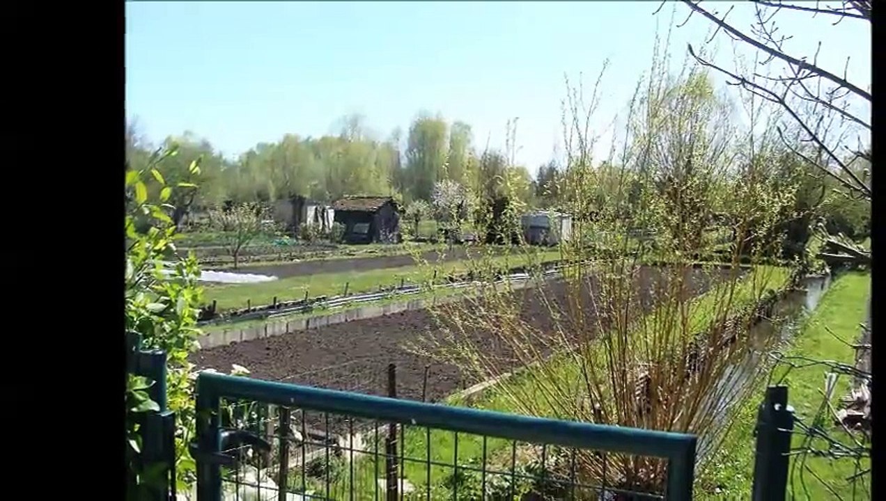 Les marais de Bourges 04 2015