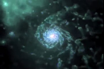 The Formation of  a Milky Way like Galaxy