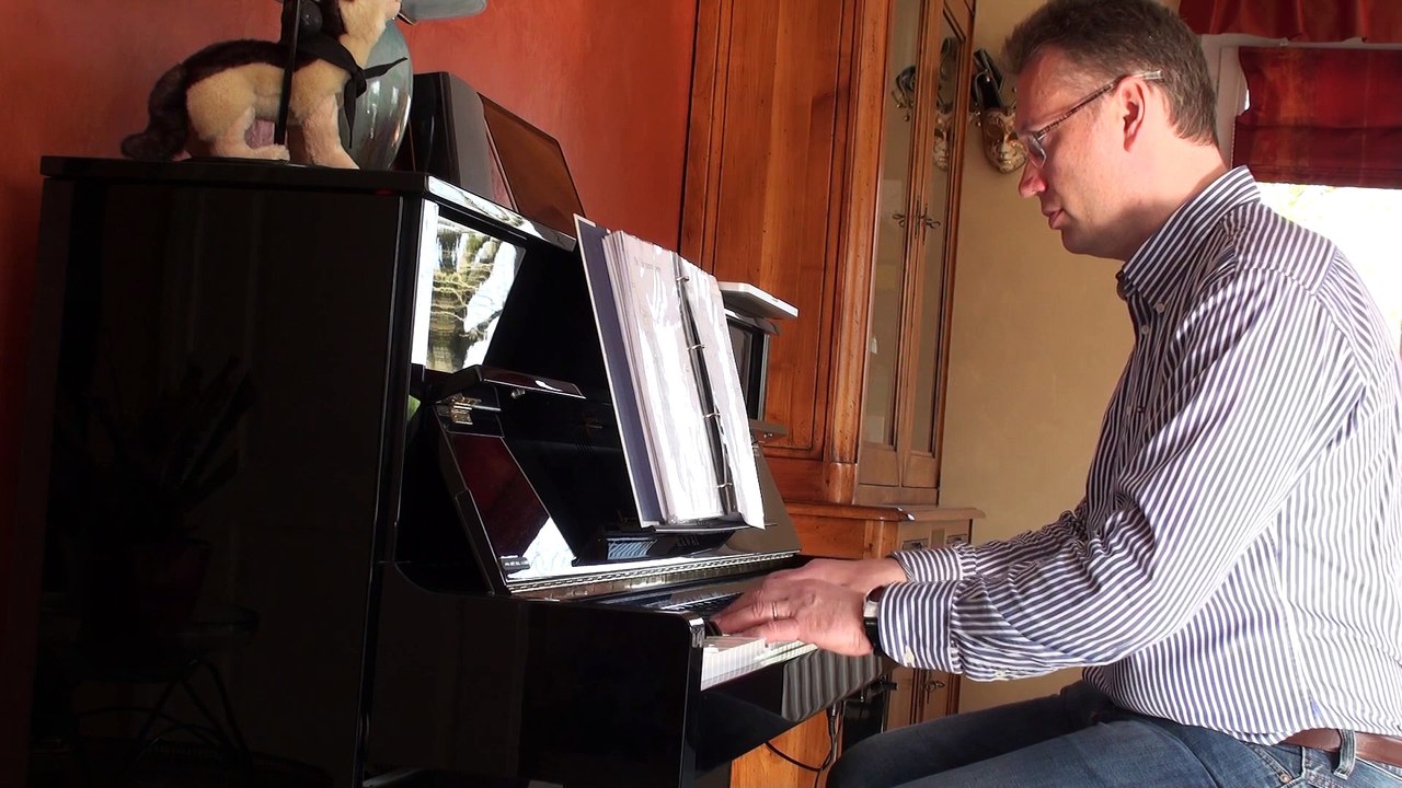 J'te l'dis quand même au piano avec le sosie vocal de patrick bruel comme chanteur