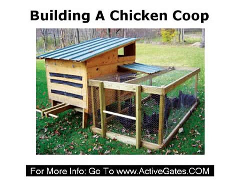 Building A Chicken Coop -- How To Build A Chicken Coop