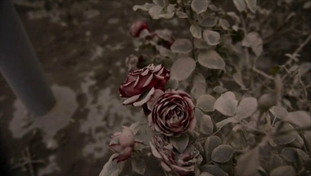 Les cendres du volcan Calbuco atteignent l'Argentine