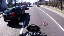 VIDEO : Des motards sauvent un chien sur la route