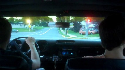 Discover the Fascinating Animal Magnetism of Scorpions 🦂