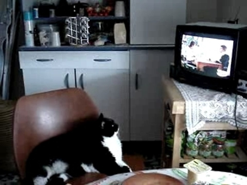 Arthus regarde la télé