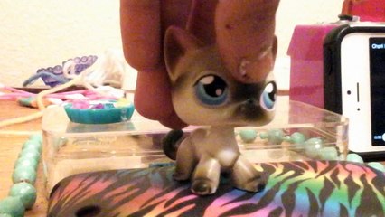 Lps mv set me free charli xcx