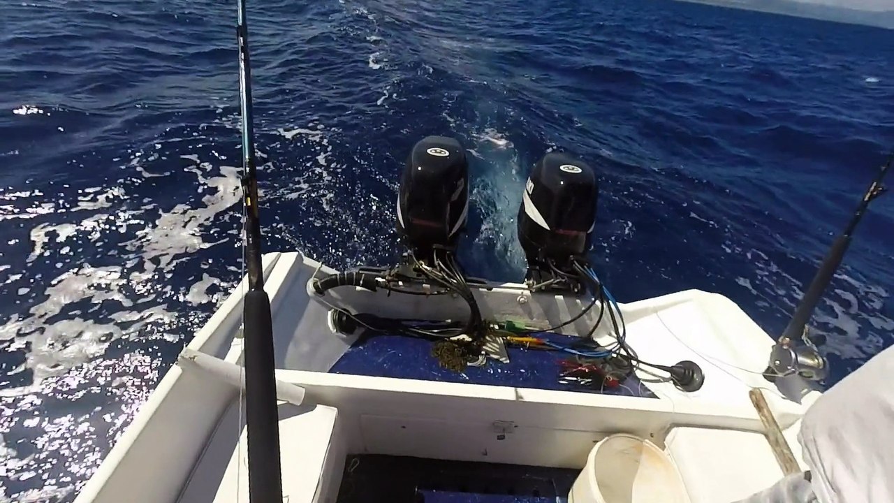 Ile maurice 2015 pêche