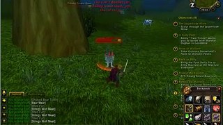 WoW Zygor Guides-Human,Warrior 28
