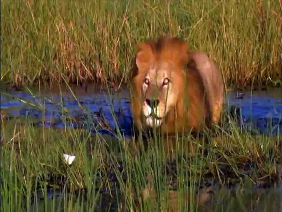 Botswana Tourism - Discover Botswana