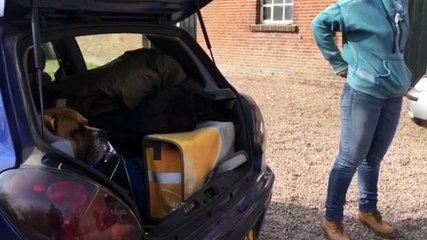 Krakers vertrekken uit NAM-boerderij - RTV Noord