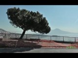 Napoli - Posillipo, transennato il pino della 