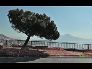Napoli - Posillipo, transennato il pino della "cartolina" (22.04.15)