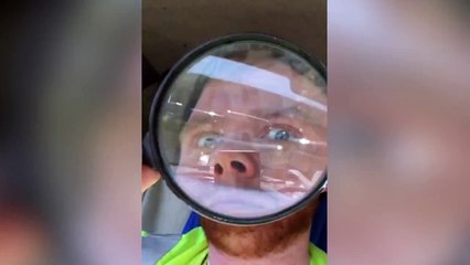 Esto es lo que pasa cuando quemas con una lupa a un amigo