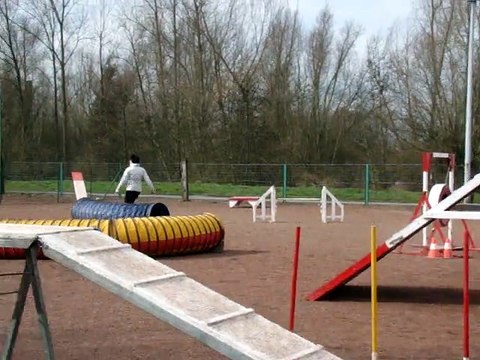 reprise agility pour I'flore après 6 mois d’arrêt