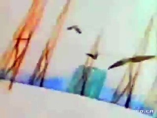 O Canada Anthem Animation