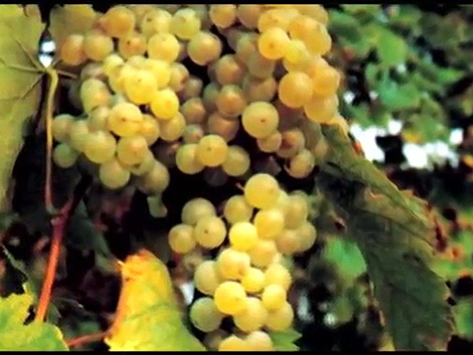 Carnaval de Oruro - Caporales