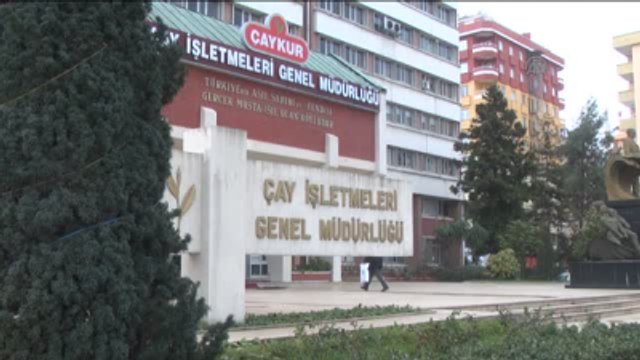 Çaykur Genel Müdürü Sütlüoğlu: 29 Nisan İtibarıyla Çay Sezonunu Başlatacağız