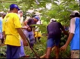 Compacto Nordeste Rural - TV Verdes Mares / Globo CE