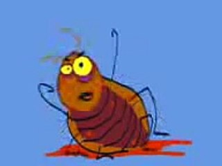 Tds os três clipes da baratinha brava...