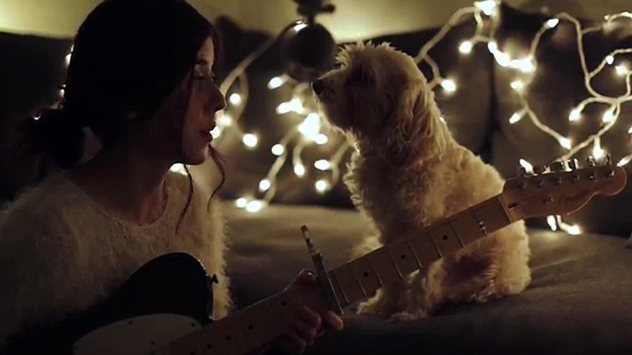 That harmony