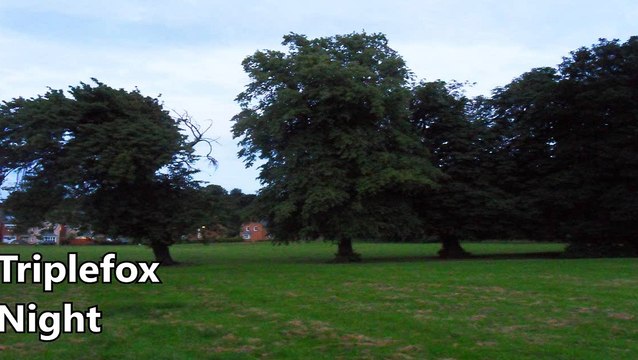 Triplefox, Night, Free Electronic Music, Royalty Free Music