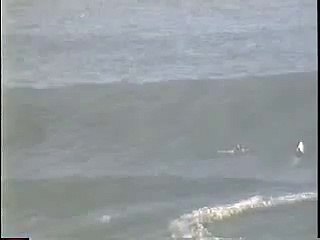 [SURF] Jay Moriarity - Insane Wipeout at Mavericks (1994)