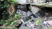 A Walk Through a Favela: Rocinha