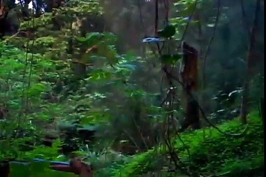 Russian space aliens UFO Alien Encounter Caught on Tape! Russia