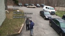 Dog Training-Rottweiler Attacks Thugs www.K9-1.com
