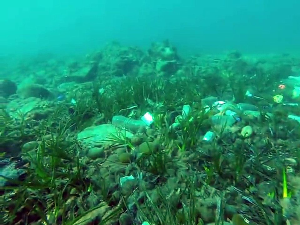 Il filme la pollution des fonds marins de Cannes