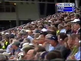 Dunya News - Shahid Afridi's unbelievable catch