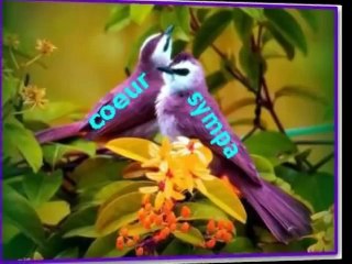 cheb abdelhak - sidi ettalèb