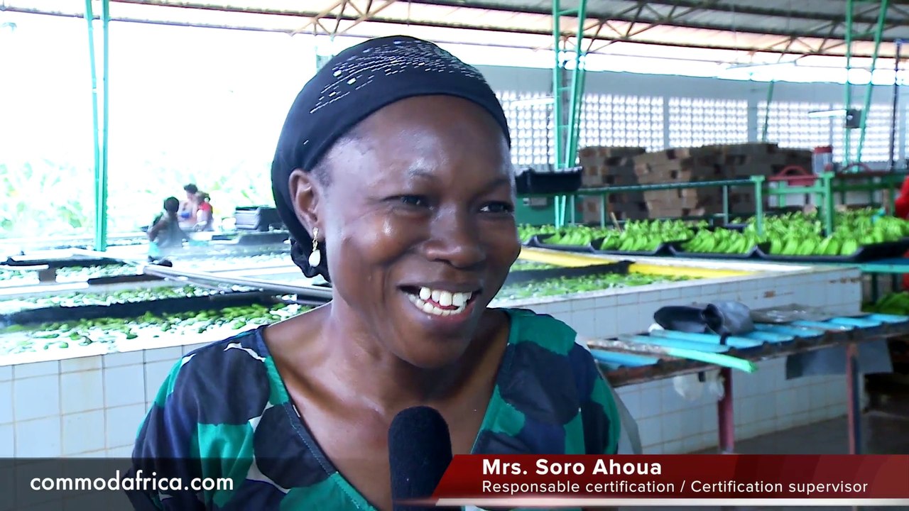 Profil métier : responsable certification avec Sora Ahoua