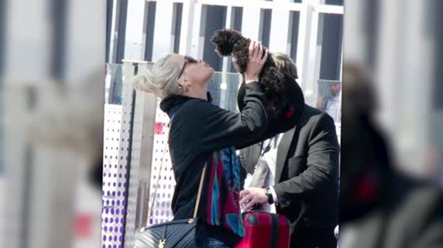 Rita Ora's Emotional Farewell With Pet Pooch As She Jets To LA