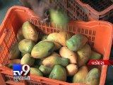 The Disappointing Truth Behind Mango Juice…Buyer Beware !!! - Tv9 Gujarati