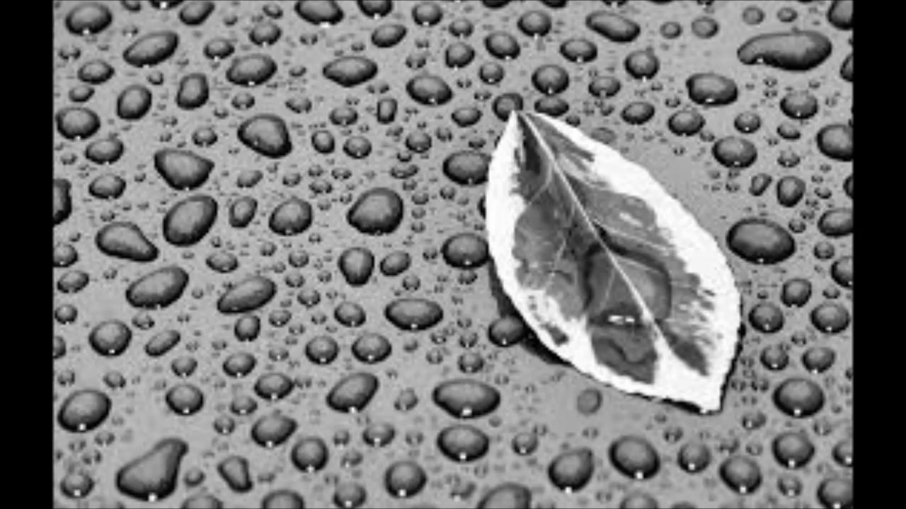 Ataraxia & Autunna Et Sa Rose - Slow Rain