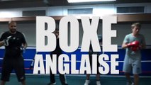 BOXE ANGLAISE LSC 2015