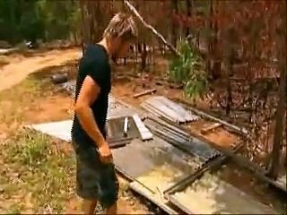 Amazing animal habitats!