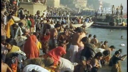 Ultimate Guide- Secrets of Dolphin Sonar